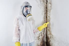 Why You Should Choose Our Mold Remediation Services in Alpharetta, GA